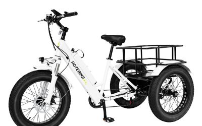 White Electric Tricycle – Redefining Modern Mobility