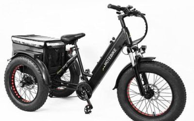 Black Electric Tricycle: Revolutionizing Urban Mobility