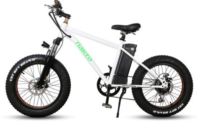 Mini Cruiser E-Bike – The Ultimate Blend of Power and Comfort