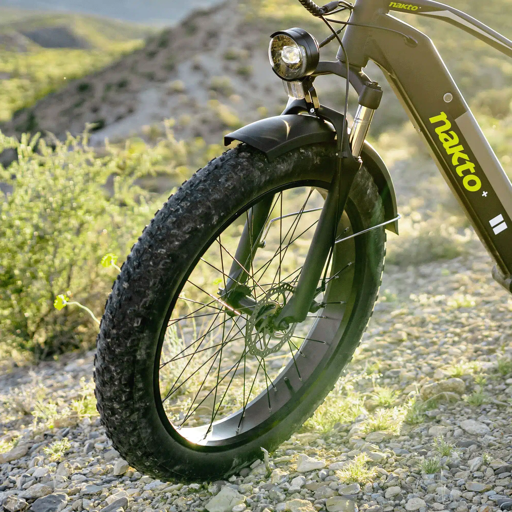Pro-level Riding with Upgraded Motor and Extended-range Battery