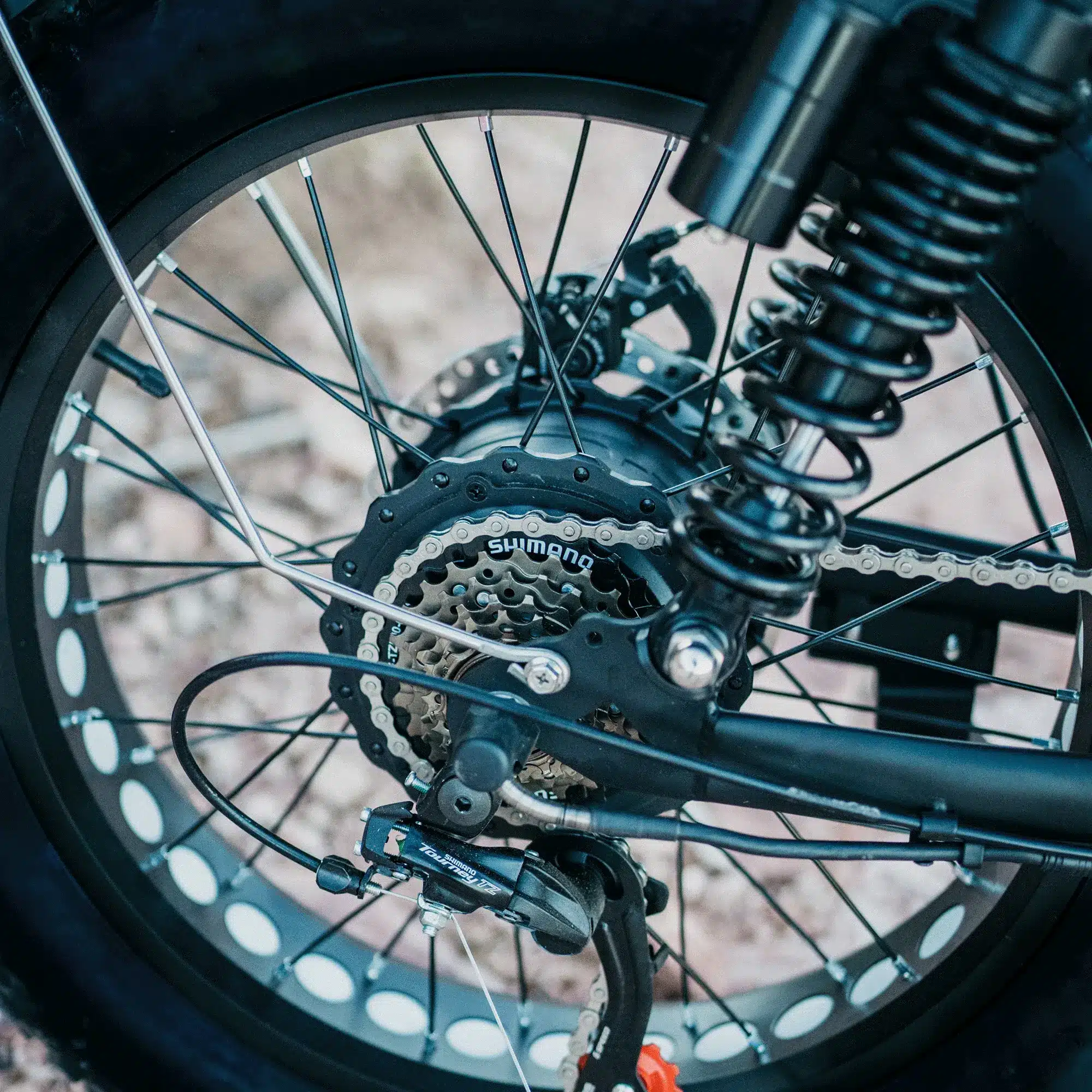 750W Peak Rear Hub Motor delivering 52Nm