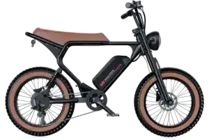Macfox X2 Electric Mountain Bike