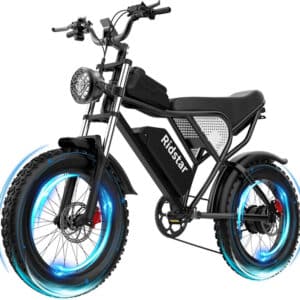 Ridstar® Q20 1500W Fat Tire Electric Bicycle New
