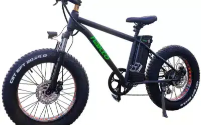 Mini Cruiser E-Bike