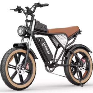 Ridstar® Fat Tire Mountain Electric Bike for Adult