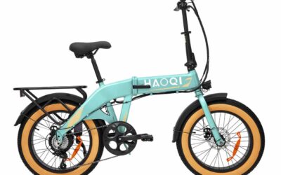 HAOQI Squirrel Folding Bike