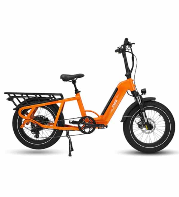 HAOQI Camel Electric Cargo Bike