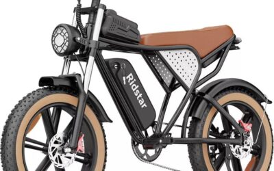 Ridstar® Fat Tire Mountain Electric Bike for Adult
