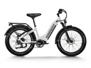 D5 ST(Zebra ST) / All-terrain Electric Fat Bike