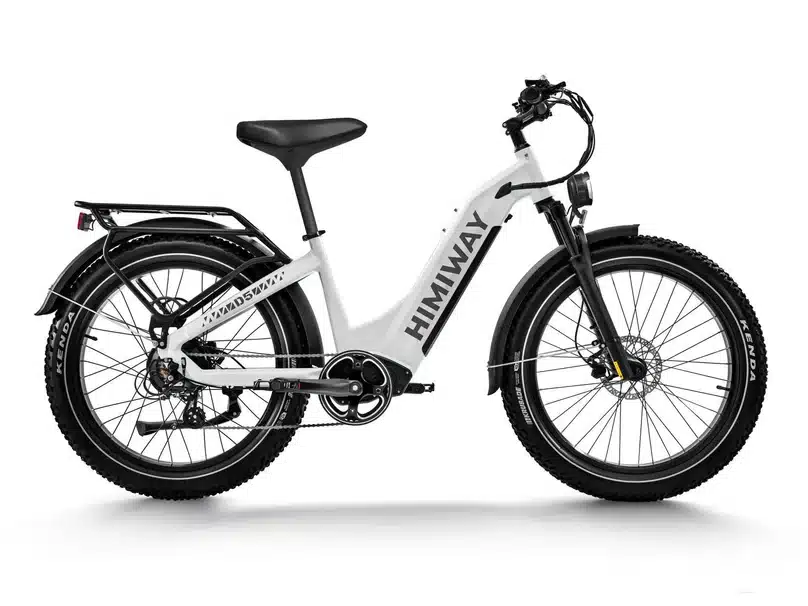 D5 ST(Zebra ST) / All-terrain Electric Fat Bike