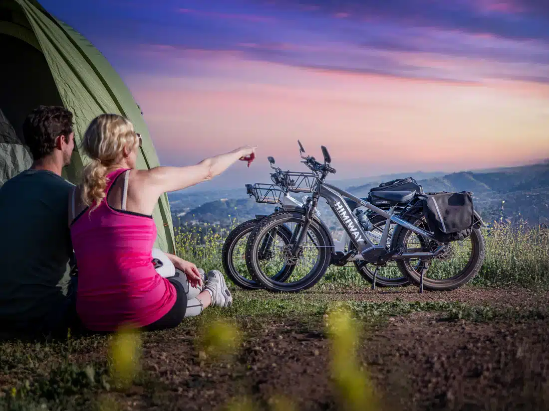 D5 ST(Zebra ST) / All-terrain Electric Fat Bike - Image 2