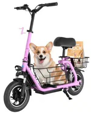 Gyroor C1 Pro 800W Scooter – Dual Baskets for Cargo & Pets