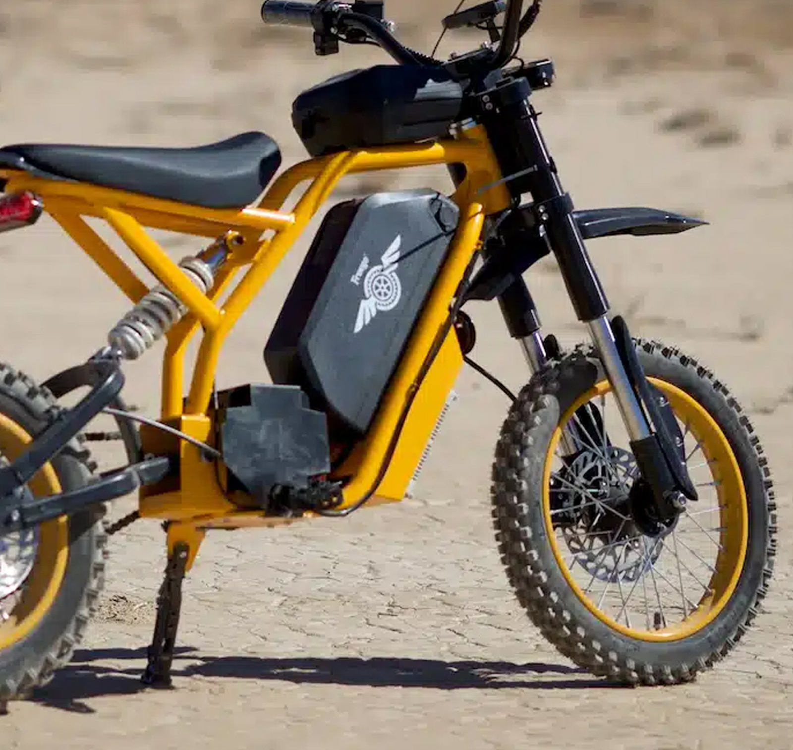 Electric Platforms Demand Specialized Care More Than Just a Riding Experience